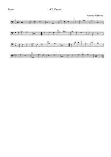 Pavane in d-Moll für Streicher: Bassus by Anthony Holborne