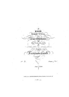 Neun Duette nach Themen von verschiedenen Komponisten für zwei Gitarren: Neun Duette nach Themen von verschiedenen Komponisten für zwei Gitarren by Ferdinando Carulli