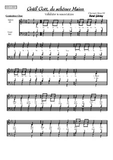 Grüss Gott, du schöner Maien: Für gemischten Chor, Op.80 by folklore