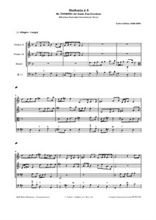 Sinfonie in G-Dur: Sinfonie in G-Dur by Lelio Colista