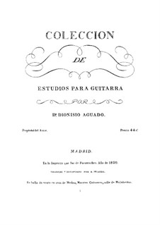 Sammlung Etüden: Für Gitarre by Dionisio Aguado