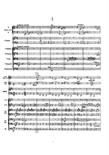 Sinfonie Nr.9 in D-Dur: Vollpartitur by Gustav Mahler