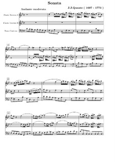 Triosonate für zwei Flöten und Basso Continuo in c-Moll, QV 2:3: Vollpartitur by Johann Joachim Quantz
