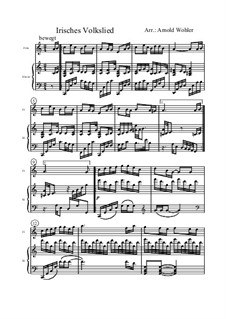 Irisches Volkslied für Flöte und Klavier: Irisches Volkslied für Flöte und Klavier by folklore