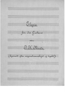 Elegie: Für Gitarre by Johann Kaspar Mertz