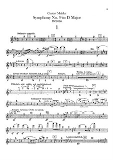 Sinfonie Nr.9 in D-Dur: Flötenstimme by Gustav Mahler