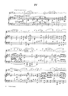 Sonate für Violine und Klavier in A-Dur, M.8 FWV 8: Teil IV by César Franck