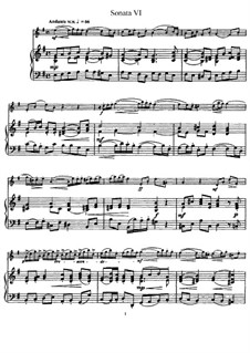 Sonate Nr.6 : Version für Flöte und Klavier, Solostimme by Johann Mattheson