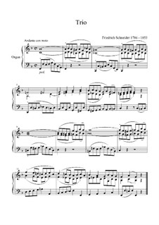 Trio für Orgel: Trio für Orgel by Friedrich Schneider
