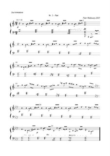 Soul Animation Nr.3: Rast: Soul Animation Nr.3: Rast by sven a.p. moldovany