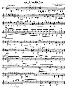 Kleine Variation: Für Gitarre by Johann Kaspar Mertz