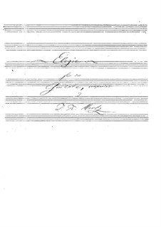 Elegie: Für Gitarre by Johann Kaspar Mertz