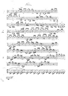 Vier Etüden: Für Gitarre (Manuskript) by Johann Kaspar Mertz