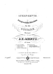 Die Favoritin : Ausgewählte Melodien, für Gitarre by Gaetano Donizetti