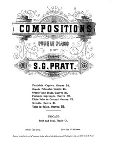 Grosse Walzer-Etüde, Op.27: Grosse Walzer-Etüde by Silas Gamaliel Pratt