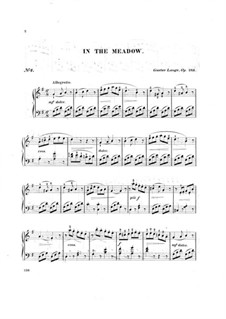 Stücke für Klavier, Op.243: In the Meadow by Gustav Lange