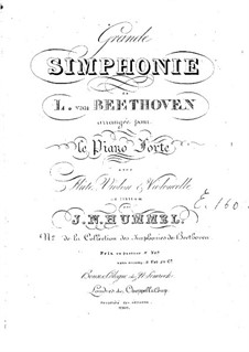 Vollständiger Sinfonie: Version für Klavier mit Flöte, Violine und Cello – Stimmen by Ludwig van Beethoven