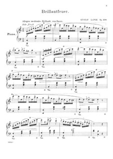 Brillantfeuer, Op.308: Für einen Interpreten by Gustav Lange