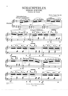 Schaumperlen, Op.312: Für einen Interpreten by Gustav Lange