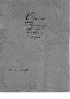 Quartett für Flöte und Streicher: Quartett für Flöte und Streicher by Johannes Matthias Sperger