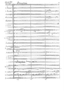 Sinfonie Nr.1 in c-Moll, Op.4: Sinfonie Nr.1 in c-Moll by Albéric Magnard