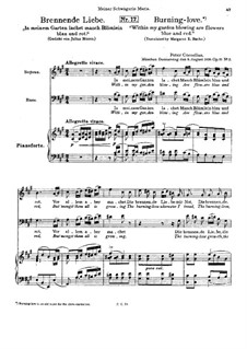 Nr.2 Brennende Liebe: Nr.2 Brennende Liebe by Peter Cornelius