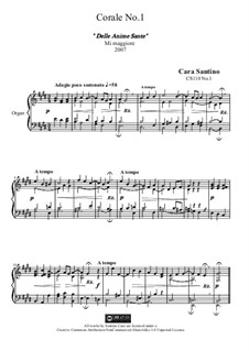 Choral in e major for organ of the Holy souls, CS110 No.1: Choral in e major for organ of the Holy souls by Santino Cara