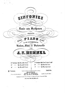 Vollständiger Sinfonie: Version für Flöte, Violine, Cello und Klavier – Stimmen by Ludwig van Beethoven