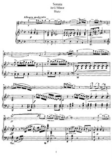 Sonate für Flöte und Klavier: Sonate für Flöte und Klavier by Julius Rietz