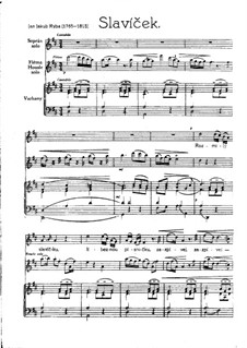Slavíček für Stimme, Flöte (oder Violine) und Orgel: Slavíček für Stimme, Flöte (oder Violine) und Orgel by Jakub Jan Ryba