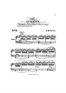 Sechs Konzertetüden: No.2 Expansion by Alfred Dudley Turner
