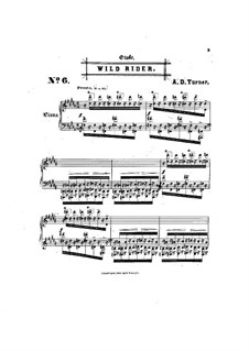 Sechs Konzertetüden: No.6 Wild Rider by Alfred Dudley Turner