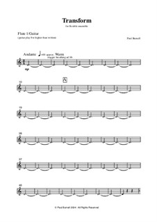 Transform, for flexible ensemble: Stimmen by Paul Burnell