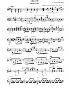 Elegie: Für Gitarre (Noten von hohem Qualität) by Johann Kaspar Mertz