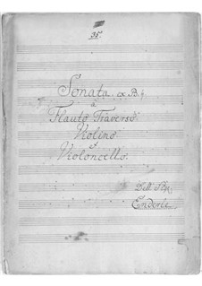 Trio-Sonate in B-Dur: Trio-Sonate in B-Dur by Wilhelm Gottfried Enderle