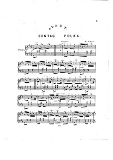 Sontag Polka: Arrangement by D. Krug by Giulio Alary