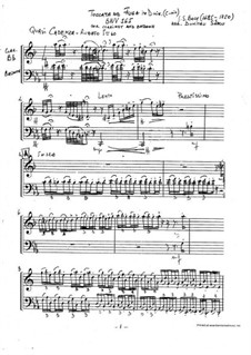 Toccata und Fuge in d-Moll, BWV 565: For clarinet and bassoon by Johann Sebastian Bach