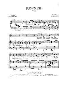 Pawnee: Für Stimmen und Klavier by Silvio Hein