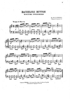 Bachelor's Button: Bachelor's Button by William C. Polla