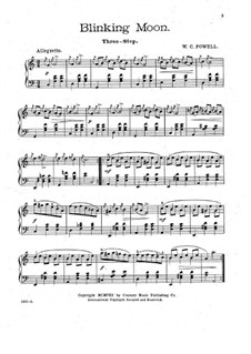 Blinking Moon: Blinking Moon by William C. Polla