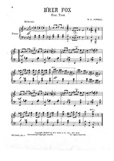 B'rer Fox: B'rer Fox by William C. Polla