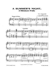 Summer's Night. Miniature Waltz: Summer's Night. Miniature Waltz by W. R. Williams