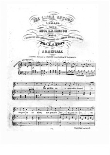 The Little Shroud: The Little Shroud by Isaac Newton Metcalf