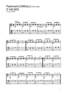 Fünf Walzer für Gitarre: Für einen Interpreten mit Tabulatur by Ferdinando Carulli