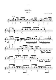 Sonate für Gitarre in D-Dur, Op.5: Für einen Interpreten by Ferdinando Carulli