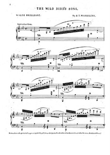 The Wild Bird's Song: The Wild Bird's Song by J. T. Wamelink