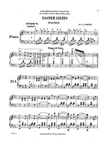 Easter Lillies: Easter Lillies by Charles Albert White