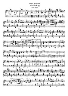 Muslin Rag: Muslin Rag by Mel B. Kaufman