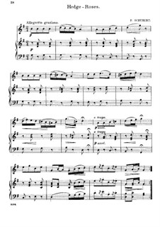 Heidenröslein, D.257 Op.3 No.3: Für Flöte und Piano by Franz Schubert