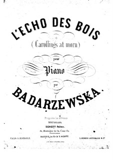 L'écho des bois: L'écho des bois by Tekla Bądarzewska-Baranowska
